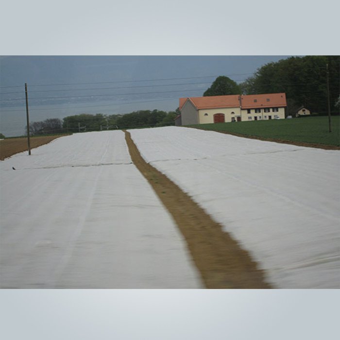 news-approved industrial landscape fabric fleece customized for clothing-rayson nonwoven-img-1