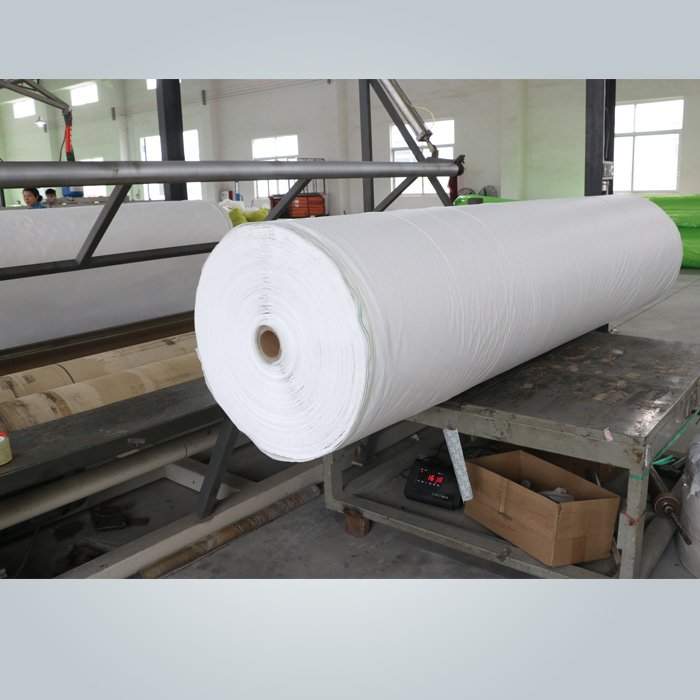 news-rayson nonwoven-approved industrial landscape fabric fleece customized for clothing-img-1