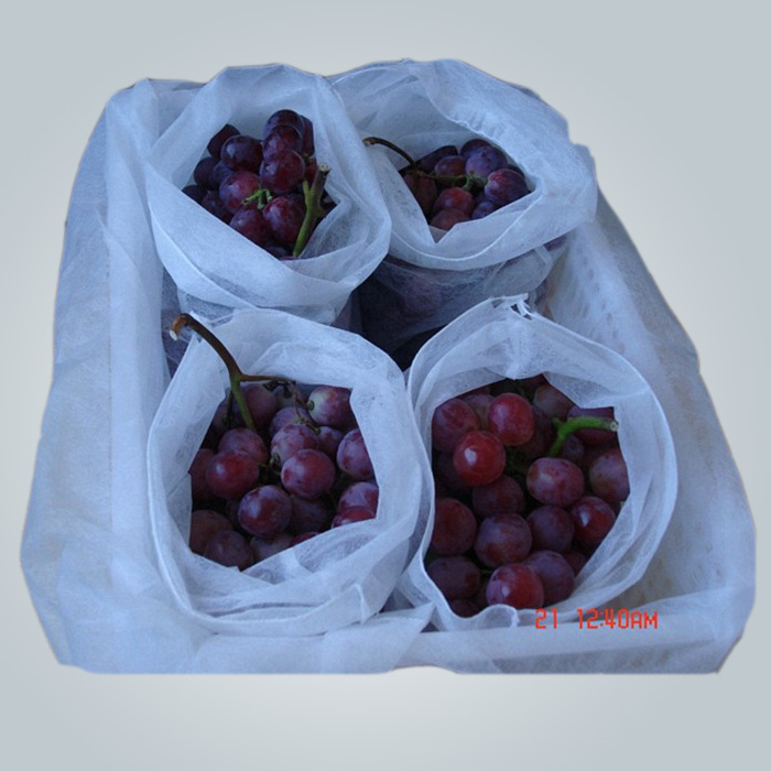 rayson nonwoven,ruixin,enviro-White Color Permeable Non Woven Plant Cover For Grape Banana Protect