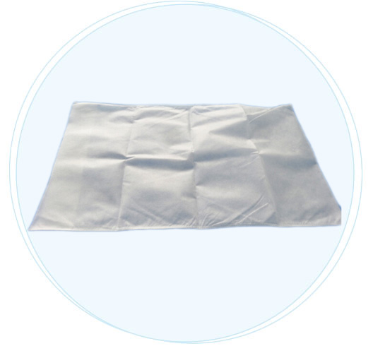 rayson nonwoven,ruixin,enviro-Household Disposable Nonwoven Pillow Cases Manufacturer - Proof Antif-4
