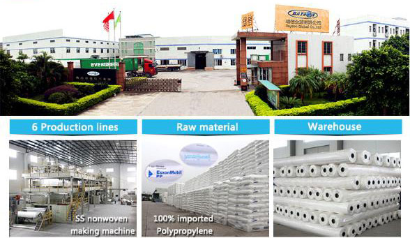rayson nonwoven,ruixin,enviro-China Manufacturer Spunbond Agriculture Nonwoven Use in Saudi-8