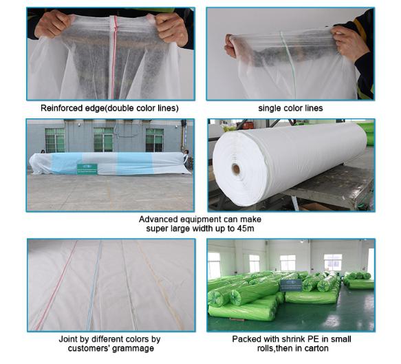 rayson nonwoven,ruixin,enviro-Air Water Penetration Nonwoven Frost protection Insect Barrier Row Co-5