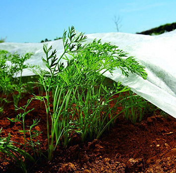 Bulk buy high quality nonwoven agfabric landscape ground cover supplier-1