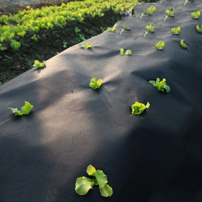 rayson nonwoven,ruixin,enviro growth uv resistant landscape fabric personalized for outdoor