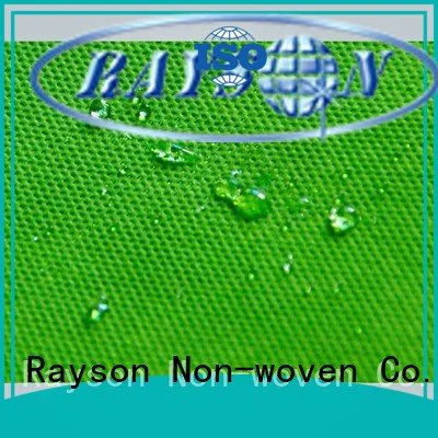 Wholesale textile hydrophobic pp spunbond nonwoven fabric manufacturers rayson nonwoven,ruixin,enviro Brand