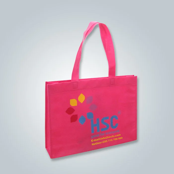 product-Rayson Custom Eco Friendly Non Woven Spunbond Bag with Vivid Color and Pattern-rayson nonwov-3