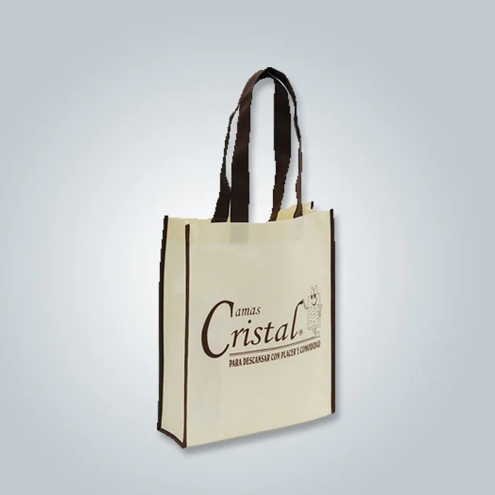 product-Custom Non Woven Polypropylene Bags Wholesale Price-rayson nonwoven-img-3