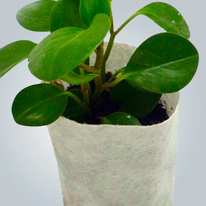 product-Non woven plant protection cover 100 polypropylene treatment UV 3-rayson nonwoven-img-3