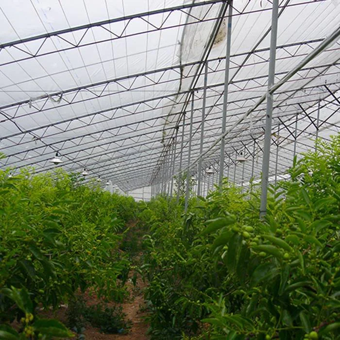 product-rayson nonwoven-UV Nonwoven Cover Fabric Breathable Greenhouse Fabric Cover-img-2