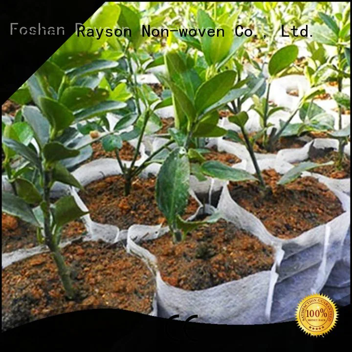 indoor aging approved sheet biodegradable landscape fabric rayson nonwoven,ruixin,enviro