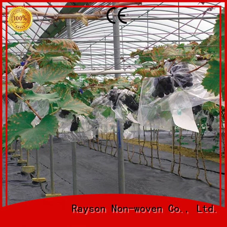 roll super agriculture3m biodegradable landscape fabric rayson nonwoven,ruixin,enviro Brand company