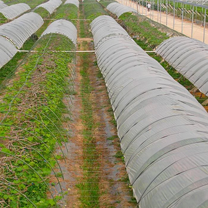 New season of  UV resistant greenhouse non woven fabric