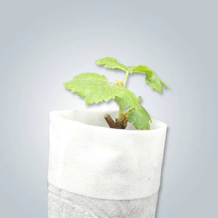 product-rayson nonwoven-Non woven plant protection cover 100 polypropylene treatment UV 3-img-2