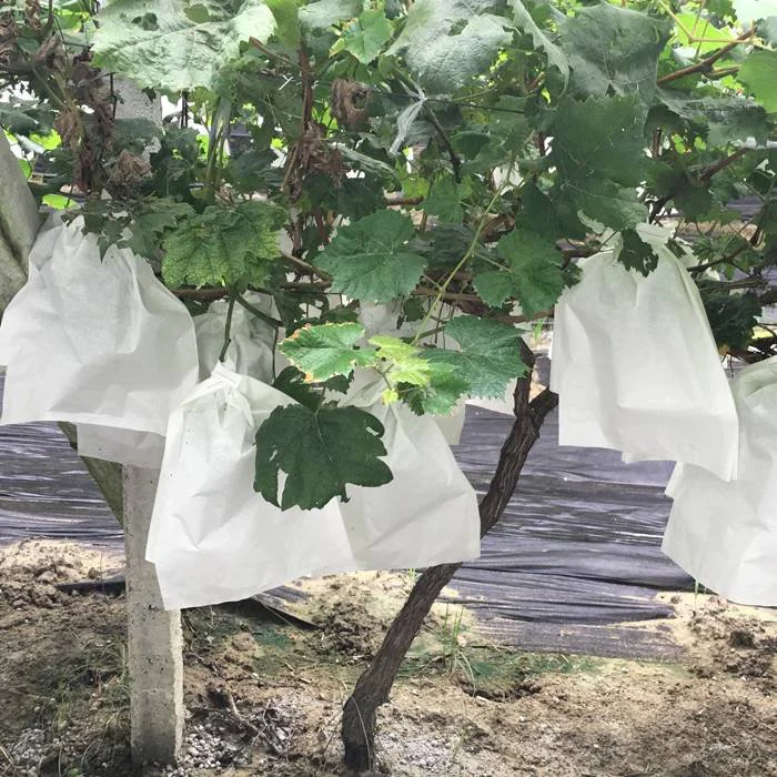 pp non woven fabric fruit protection bag