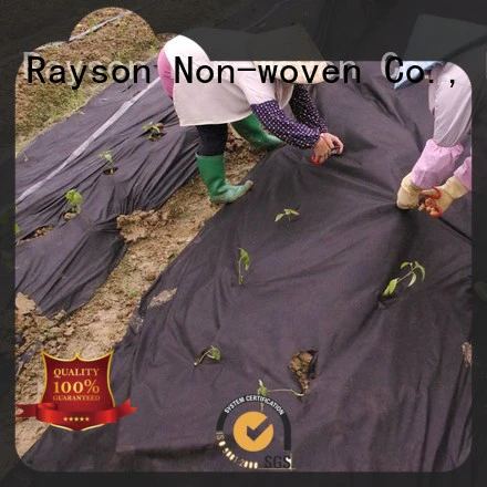 rayson nonwoven,ruixin,enviro clothing polypropylene landscape fabric factory price for shops