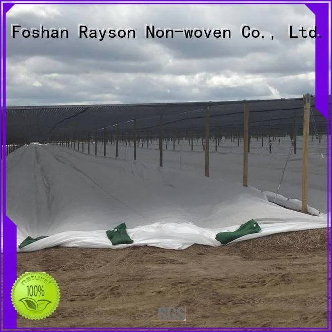 rayson nonwoven,ruixin,enviro weed control landscape fabric rolled of surpress
