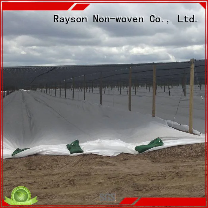 Quality rayson nonwoven,ruixin,enviro Brand weed control landscape fabric extra