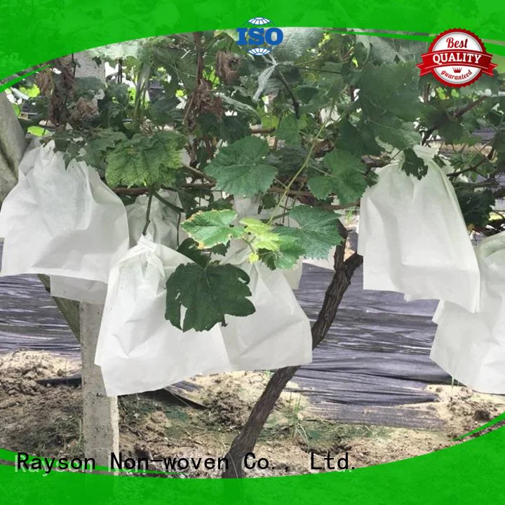 UV-resistant surya non woven weed supplier for store