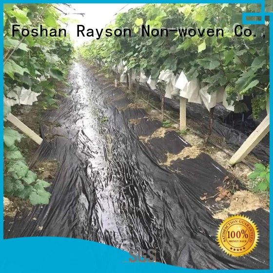 Hot antimicrobial biodegradable landscape fabric wet blue rayson nonwoven,ruixin,enviro Brand