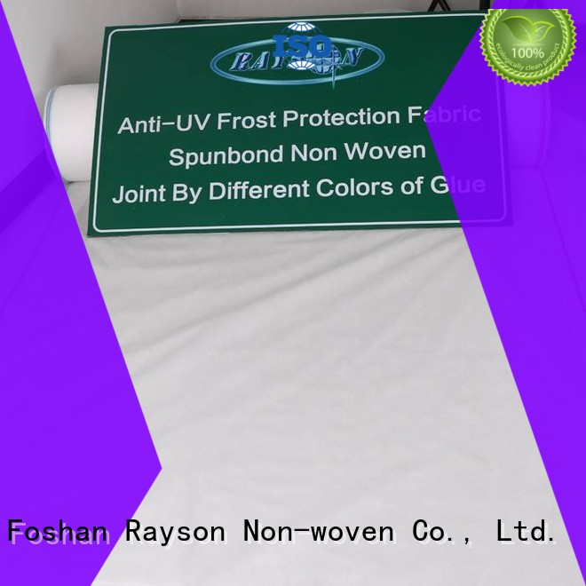 extra wide hydrophilic non woven low factory price for shops