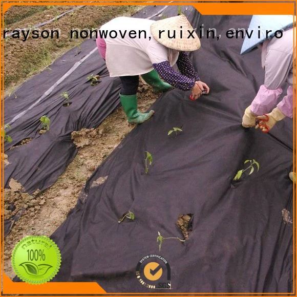 weed control landscape fabric clothing plant biodegradable landscape fabric keep rayson nonwoven,ruixin,enviro Brand
