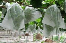 rayson nonwoven,ruixin,enviro-Chemical free landscape weed control fabric with SGS certificate-3