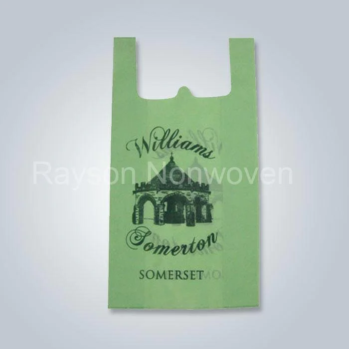 product-fodable eco friendly non woven bags Rsp AY06-rayson nonwoven-img-3