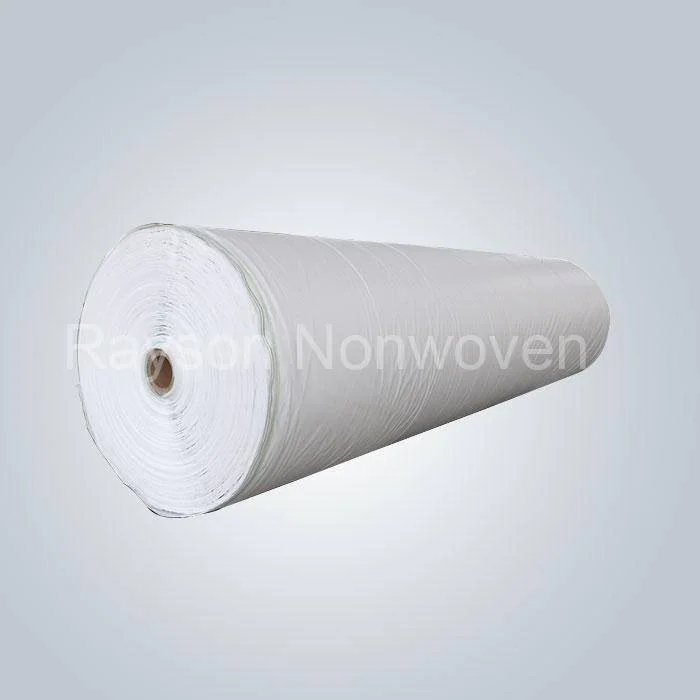 product-rayson nonwoven-100 Biodegradable Floating Row Covers Offer Plant Protection from Animals-im-2