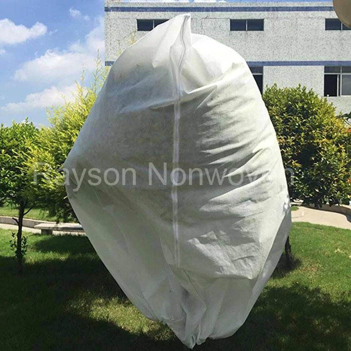 product-Anti-bacterial Recyclable Plant Protection Fabric-rayson nonwoven-img-3