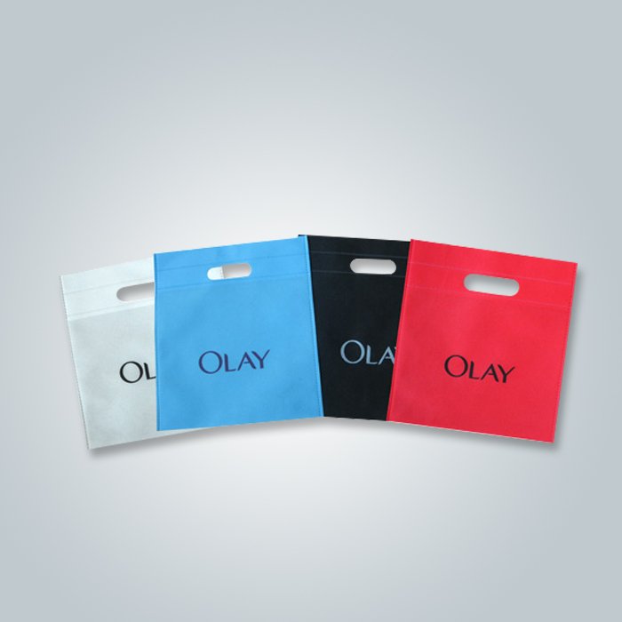 rayson nonwoven Custom ODM non woven bags online company-1