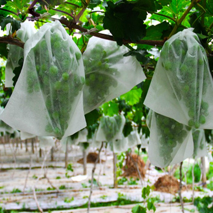 rayson nonwoven,ruixin,enviro-PP Spunbond Nonwoven Plant Protection Cover Banana Protecion Bags