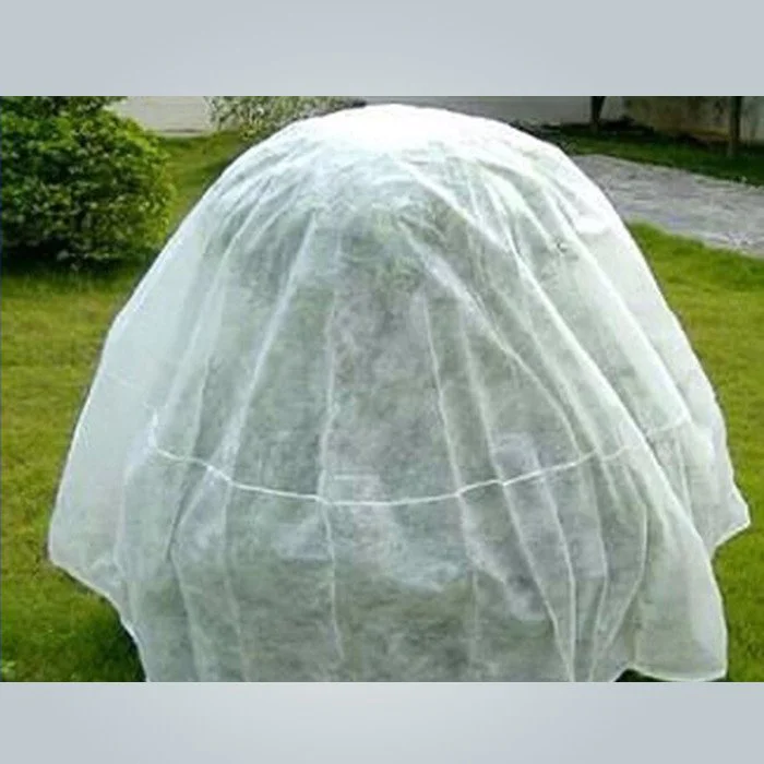 product-Tear Resistant Spun Bonded Non Woven Plant Cover for Agriculture and Landscape Use-rayson no-3