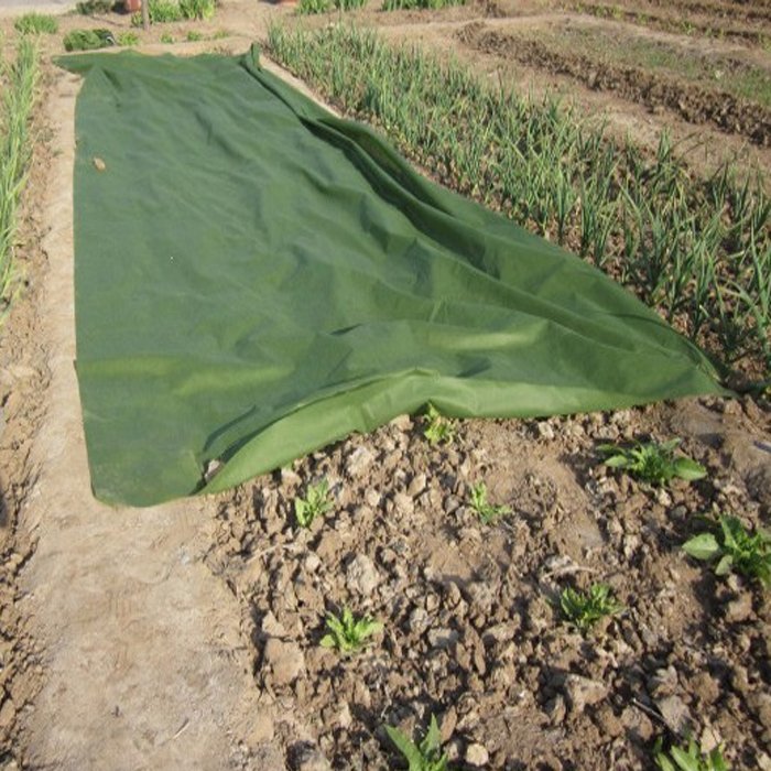 product-Green Color 3 UV Treated Agriculture Nonwoven In UAE For Protection-rayson nonwoven-img-3