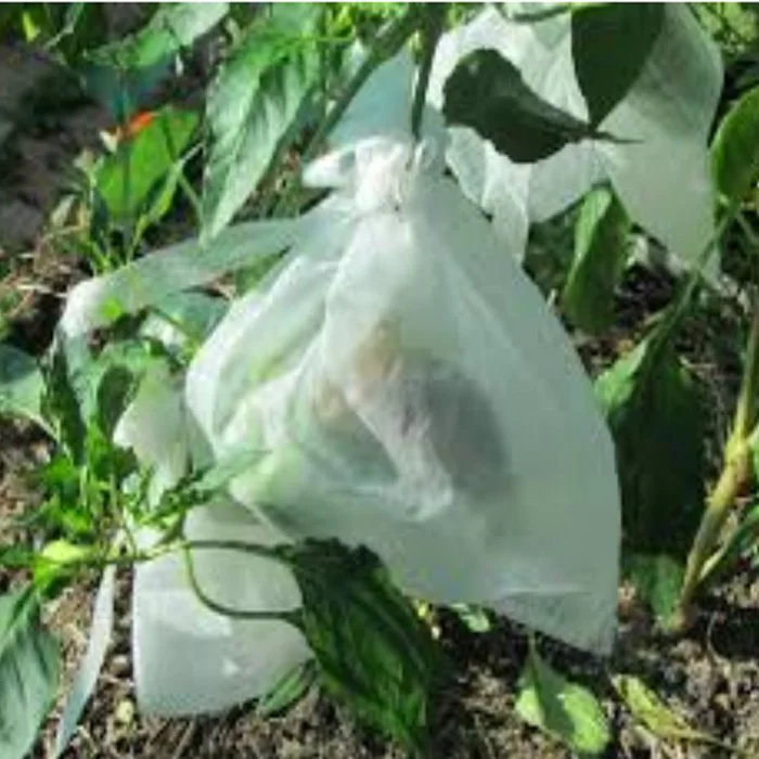 product-OEM Disposable Nonwoven fruit protection bag manufacturers-rayson nonwoven-img-3