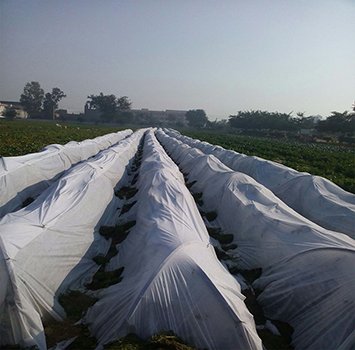 approved pro landscape fabric sunlight supplier for outdoor-1