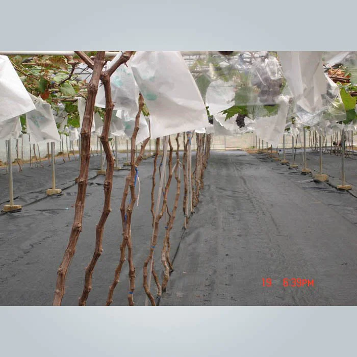 product-3 UV protection PPSB fabric weed barrier fabric for garden-rayson nonwoven-img-3