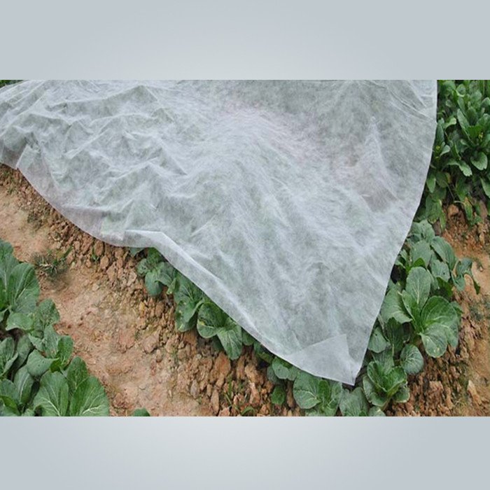 Custom pear cover flower garden fabric rayson nonwoven,ruixin,enviro white