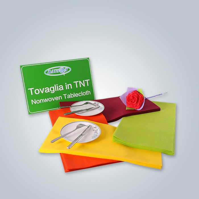 product-40-60gsm Non Woven Placemat-rayson nonwoven-img-3
