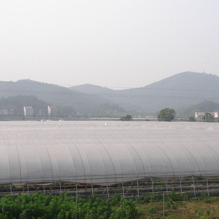 product-Agriculture Nonwoven Fabric Made Frost Protection Splicing Plant Cover-rayson nonwoven-img-3