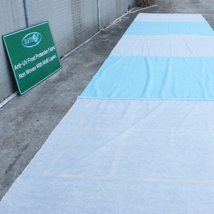 rayson nonwoven,ruixin,enviro agricultral wide weed control fabric manufacturer for blanket