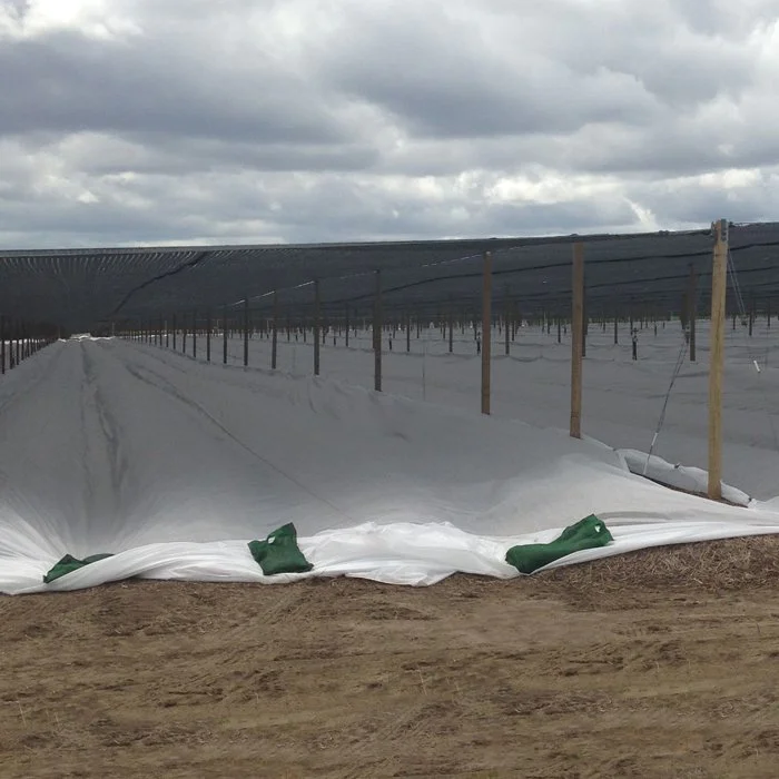 product-Extra Wide Fabric for Crop Covers-rayson nonwoven-img-3