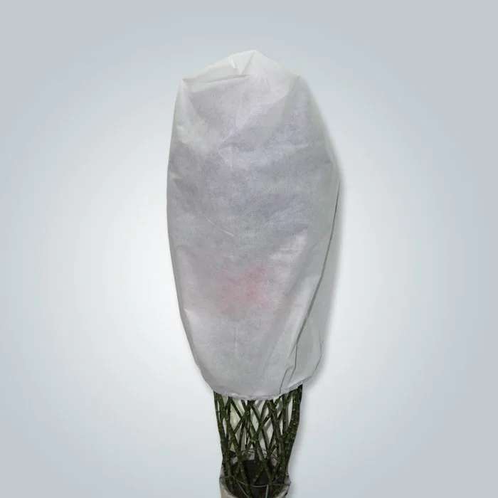 product-Nonwoven Planting Covers-rayson nonwoven-img-3