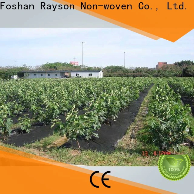 approved weed barrier fabric for vegetable garden labour wholesale for greenhouse