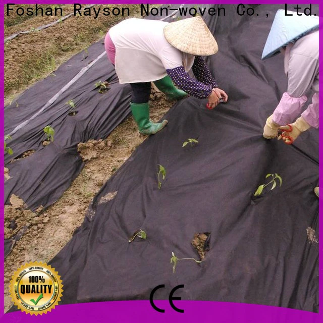 rayson nonwoven,ruixin,enviro 50gram axon non woven wholesale for farm