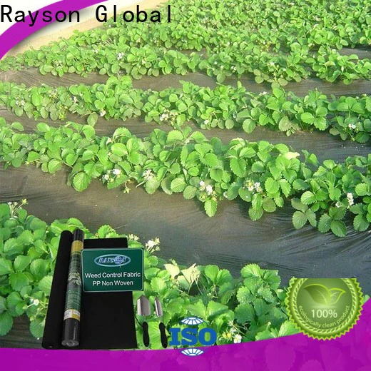 rayson nonwoven,ruixin,enviro horticultral weed barrier fabric for vegetable garden directly sale for outdoor