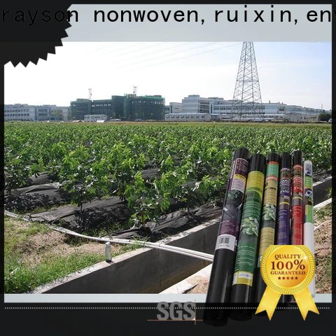 rayson nonwoven,ruixin,enviro vegetableplant sta green landscape fabric directly sale for farm