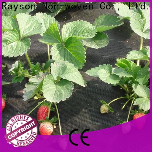 rayson nonwoven,ruixin,enviro antigrass vegetable garden fabric directly sale for greenhouse