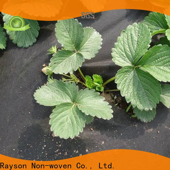 rayson nonwoven,ruixin,enviro frost large landscape fabric series for greenhouse