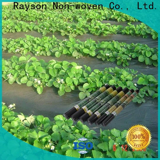 rayson nonwoven,ruixin,enviro spunbond nptel non woven from China for clothing