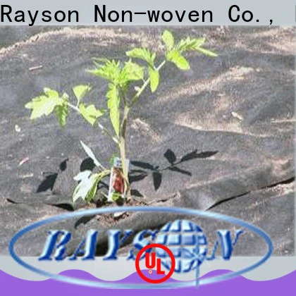rayson nonwoven,ruixin,enviro stabilized fiberglass landscape fabric supplier for greenhouse